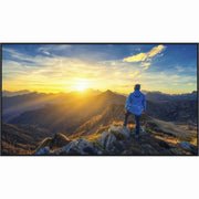 Sharp PN-E329 32in Full HD Commercial Display, Anti-Glare LCD, 1080p, 60Hz, USB-C and HDMI Inputs