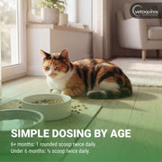 Vetoquinol Viralys L-Lysine Supplement for Cats, Immune Support, Eye and Respiratory Health, Flavored Lysine Powder, 600gm