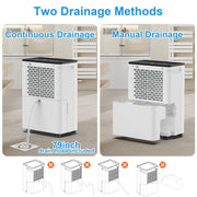 Airfire PD8R-03BE Dehumidifier, 19 Pint (DOE) Dehumidifier with Drain Hose