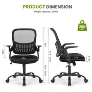 Gianna Ergonomic Mesh Office Chair with Adjustable Armrests, Lumbar Support, Mid-Back Design, Smooth-Rolling Wheels, Black