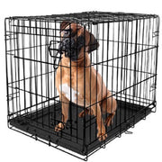 Vibrant Life 34973 Single-Door Folding Dog Crate With Divider, XX-Large, 48