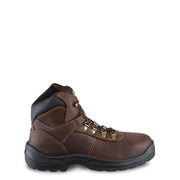 Irish Setter Ely 6
