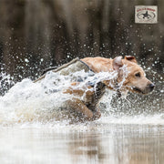 Rig'Em Right Bloodline Elite Dog Vest - Optifade Marsh - L