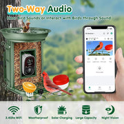 NixiYa Smart Bird Feeder with 2K Camera, Bird Bath, Solar Powered, AI Bird Identification, App Notifications, Green