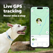 PetSafe GPS Dog Tracker, Real-Time Location Tracking, Escape Alerts, Activity Monitoring, Blue, PTK00-18270