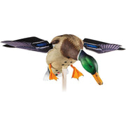 Avian-X AVXDP101 PowerFlight Mallard Drake Motorized Duck Decoy with Remote