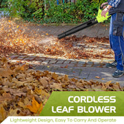 LWQ Cordless Leaf Blower, 20V Leaf Blower with 2 Batteries & Charger, 450CFM/150MPH, Green