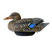 HEYDAY HydroFoam Mallard Position Pack 2 Duck Decoys 6-Pack