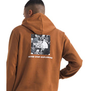 The North Face Evolution Box Toss Fill Men's Athletic Hoodie, Burnt Umber, XX-Large, Cotton/Polyester, NF0A8FMY