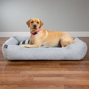 990374021 Premium Cuddler Pet Bed, Orthopedic Memory Foam, Grey, Large