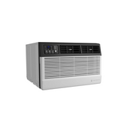 Friedrich UCT10B30A 10,000 BTU 450 sq ft Wall Mount Air Conditioner, Multicolor