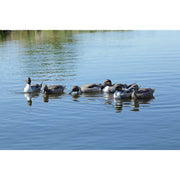 GHG Pro Grade Pintail Duck Decoys 6 Pack