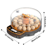 Pet Deluxe 24 Egg Incubator with Automatic 360 Egg Turning, Humidity Control, Built-in Egg Candler, Digital Display, Orange