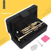 Ktaxon Bb Standard Trumpet Set, Gold Lacquer Brass, 3-Valve Beginner Trumpet with 7C Mouthpiece and Protective Case