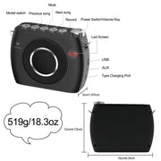 Winbridge S96 Bluetooth Voice Amplifier w/Two Wireless Headset Mic, Small, Black