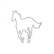 Rhino White Pony ( Audio CD)