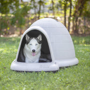 Petmate Indigo Dog House with Microban, 25-50 Lbs