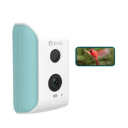 Birdfy WM 2.0 Smart Bird Feeder Camera for Wild Bird Watching & Recording, Cyan