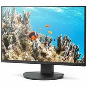 Sharp DD-EA242W MultiSync 24