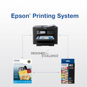 Epson T812XL-BCS DuraBrite Ultra 4-Pack High-Yield Ink Cartridges - Black/Cyan/Magenta/Yellow