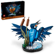 LEGO 6474624 Icons Kingfisher Bird Model, Creative Set for Adults to Build and Display