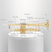 Ktaxon Bb Standard Trumpet Set, Gold Lacquer Brass, 3-Valve Beginner Trumpet with 7C Mouthpiece and Protective Case