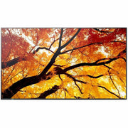 Sharp PN-M432 43 in. 4K UHD Industrial Commercial Monitor with USB-C Input, 24/7 Operation, Black