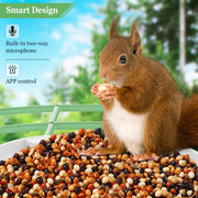 Naipo VN-DB09-08 Smart Bird Feeder Camera, Wireless Outdoor Bird Watching with 1080P Full HD, Night Vision, AI Bird Species Identification, Motion Detection, Two-Way Talk, Green
