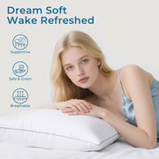 Firm Euro Pillow Insert, 26x26 Inches, Set of 2, Down Alternative Filling, Satin Piping, Green