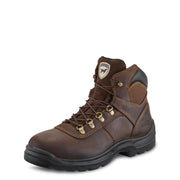 Irish Setter Ely 6