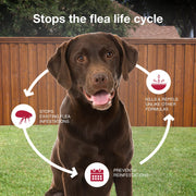 Elanco US Inc 90204385 Monthly Flea & Tick Prevention for Large Dogs 21-55 lbs, 1-Monthly Treatment
