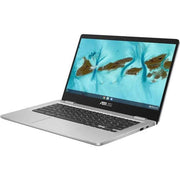 ASUS C424MA-WH44F 14