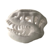 Nouveau Haven Dinosaur Skeleton Plush Headpiece, Soft Wearable Dino Costume Hat, White