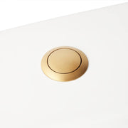 Push Button Flush Actuator - Brushed Gold