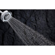 Forte 4-spray Multifunction 4-3/4 in. Raincan Handshower in Polished Chrome