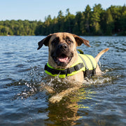 Vibrant Life Pet Life Jacket High-Visibility Floatation Device Yellow XL