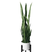 DDRPL Faux Snake Plant Sansevieria with 28 Lifelike PE Leaves, White Pot with Tripod Stand, 36 Inch Indoor Decor
