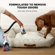 Shark VX100 EveryMess 3-in-1 Portable Wet Dry Vacuum and Stain Remover, Corded Electric, 1 Gallon