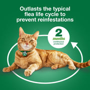 Advantage XD Large Cat Topical Flea Treatment, Fast-Acting, 2-Month Protection, Fragrance-Free, for Cats Over 9 lbs, CA4242006AM