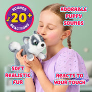 Little Live Pets My Really Real Puppy Mini Aurora the Husky Interactive Plush Toy with 20+ Sounds and Reactions, Cozy Basket Included, Ages 5+