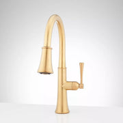 Signature Hardware SHXCPD107BG Single Handle Pull Down Kitchen Faucet, Brushed Gold