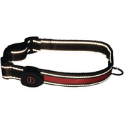 Royal Animals 104058S LED Dog Collar (Small), Red/Black