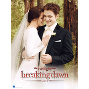 Lionsgate The Twilight Saga: Breaking Dawn, Part 1 - DVD Media