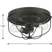 Progress Lighting Medal Collection 2-Light Graphite Industrial Flush Mount Ceiling Light, 14.5 in, Dimmable, P350195-143