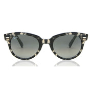 Ray-Ban Orion RB2199 Gradient Glass Sunglasses