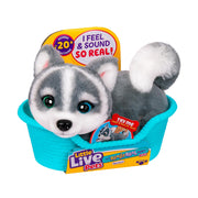 Little Live Pets My Really Real Puppy Mini Aurora the Husky Interactive Plush Toy with 20+ Sounds and Reactions, Cozy Basket Included, Ages 5+