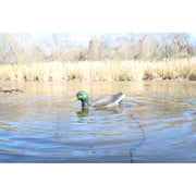 MOJO Outdoors Hw2554 Dabbler Motorized Feeding Duck Decoy