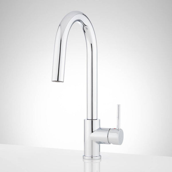 Finnian Pull-Down Kitchen Faucet