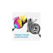 HP 67XL/67 67 Tri-Color Ink Cartridges High/Standard Yield 2 Per Pack
