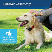 PetSafe PRF-275-19 Stubborn Adjustable Dog Receiver Collar - Black